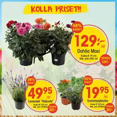 EKO reklamblad