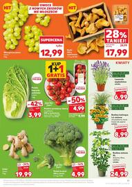 Kaufland gazetka tydzień 27 Strona 17