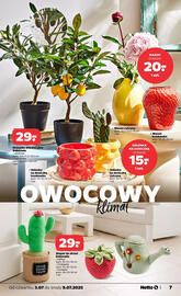 Netto gazetka Strona 25