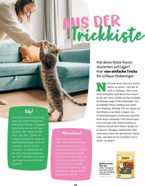 Fressnapf Prospekt Seite 42
