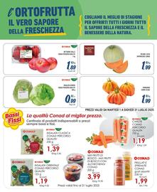 Volantino Spesa Facile Conad Pagina 3