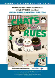 Catalogue Carrefour | Savoirs page 47