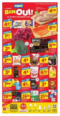 Maxi flyer (valid until 9-07)