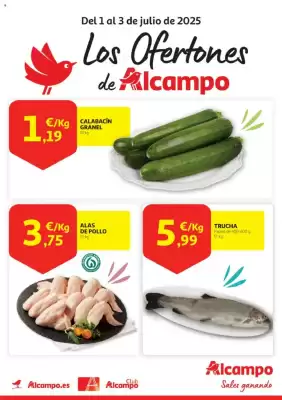 Folleto Alcampo (válido hasta el 3-07)