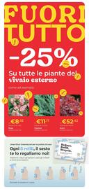 Volantino Giardango Pagina 6