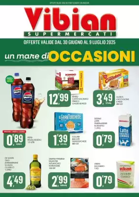 Volantino Vibian (valido fino al 9-07)
