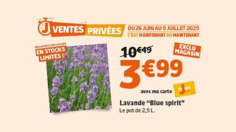 Catalogue Jardiland page 5