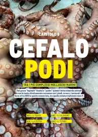 Volantino Metro Pagina 12