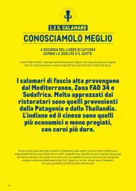 Volantino Metro Pagina 20