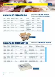 Volantino Metro Pagina 22