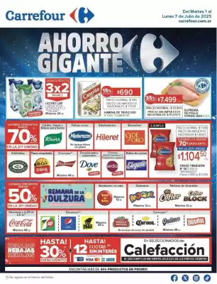 Catálogo Carrefour (válido hasta 8-07)