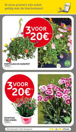 Brico folder Pagina 63