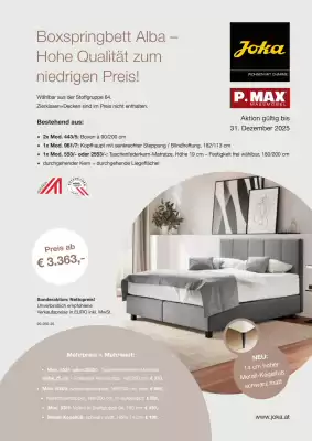 Peter MAX Flugblatt (gültig bis 1-01)