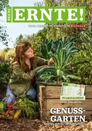 Bauhaus Flugblatt Seite 1