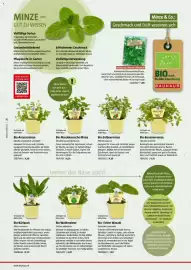 Bauhaus Flugblatt Seite 10