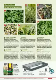 Bauhaus Flugblatt Seite 11