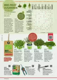 Bauhaus Flugblatt Seite 12