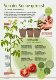 Bauhaus Flugblatt Seite 14