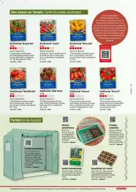 Bauhaus Flugblatt Seite 15