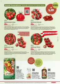 Bauhaus Flugblatt Seite 17