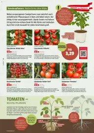 Bauhaus Flugblatt Seite 18