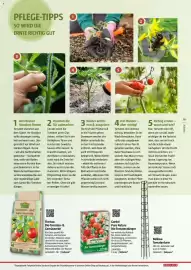 Bauhaus Flugblatt Seite 19