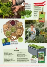 Bauhaus Flugblatt Seite 2