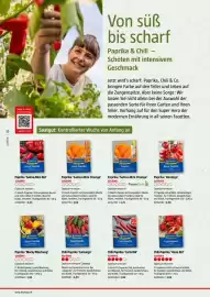 Bauhaus Flugblatt Seite 20