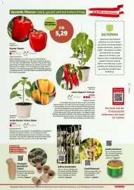 Bauhaus Flugblatt Seite 21