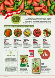 Bauhaus Flugblatt Seite 22