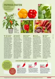 Bauhaus Flugblatt Seite 23