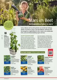 Bauhaus Flugblatt Seite 24