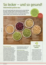 Bauhaus Flugblatt Seite 26