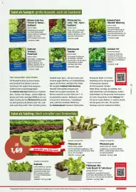 Bauhaus Flugblatt Seite 29