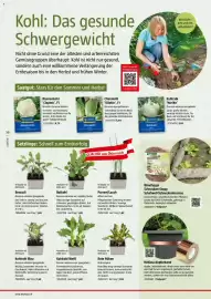 Bauhaus Flugblatt Seite 30