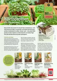 Bauhaus Flugblatt Seite 31