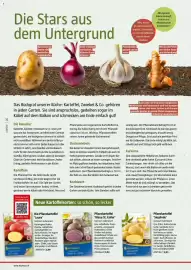 Bauhaus Flugblatt Seite 32