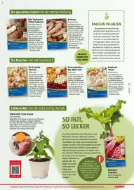 Bauhaus Flugblatt Seite 33