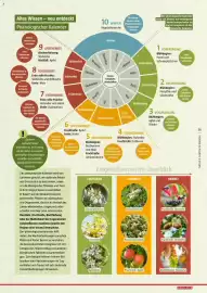 Bauhaus Flugblatt Seite 35