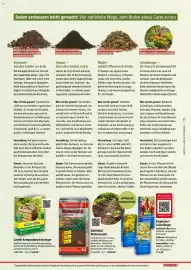 Bauhaus Flugblatt Seite 37