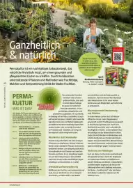 Bauhaus Flugblatt Seite 40