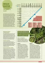 Bauhaus Flugblatt Seite 41