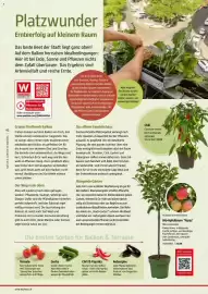 Bauhaus Flugblatt Seite 42