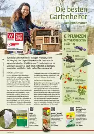 Bauhaus Flugblatt Seite 44