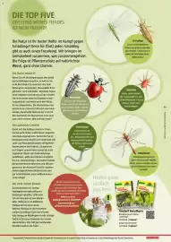 Bauhaus Flugblatt Seite 45