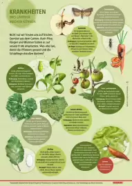 Bauhaus Flugblatt Seite 47