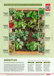Bauhaus Flugblatt Seite 49