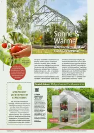 Bauhaus Flugblatt Seite 52