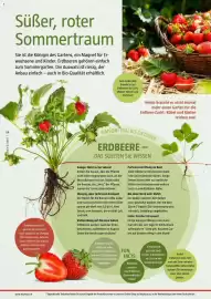 Bauhaus Flugblatt Seite 54