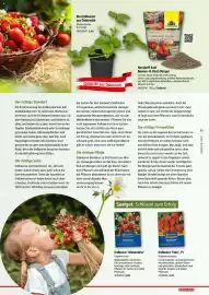 Bauhaus Flugblatt Seite 55